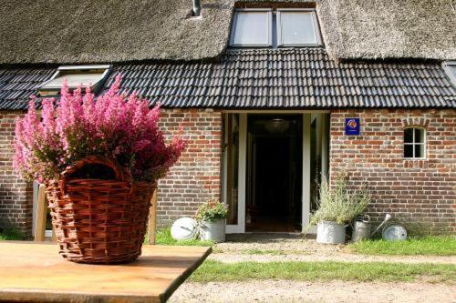 Bed And Breakfast Annen Bagian luar foto